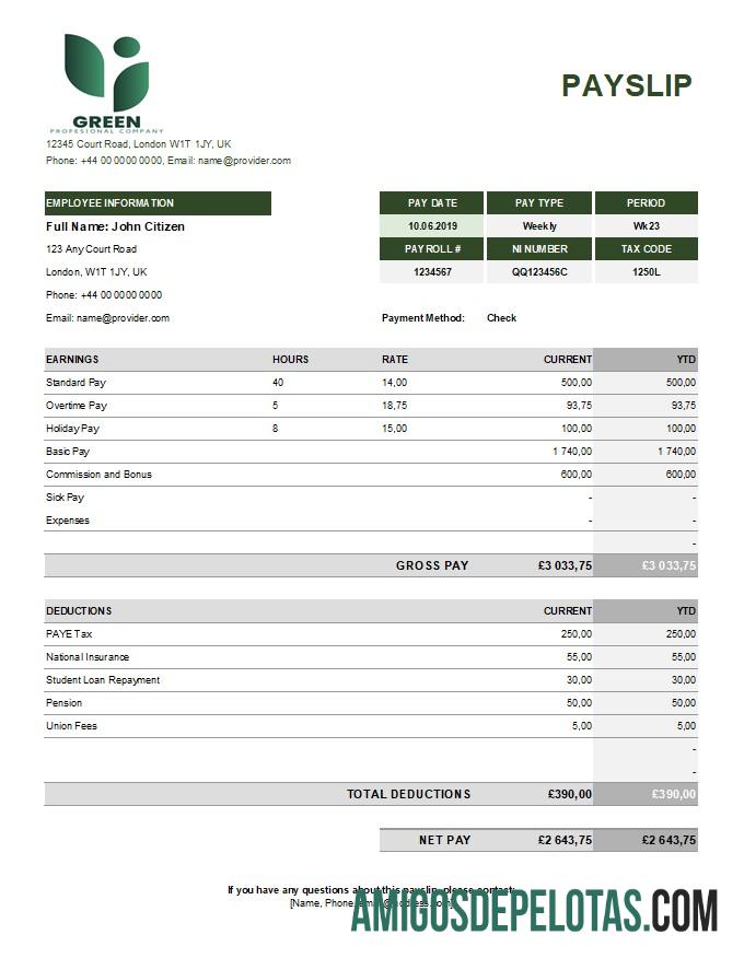 Imprimível Modelo de declaração de ganhos da indústria verde em formatos Excel e PDF